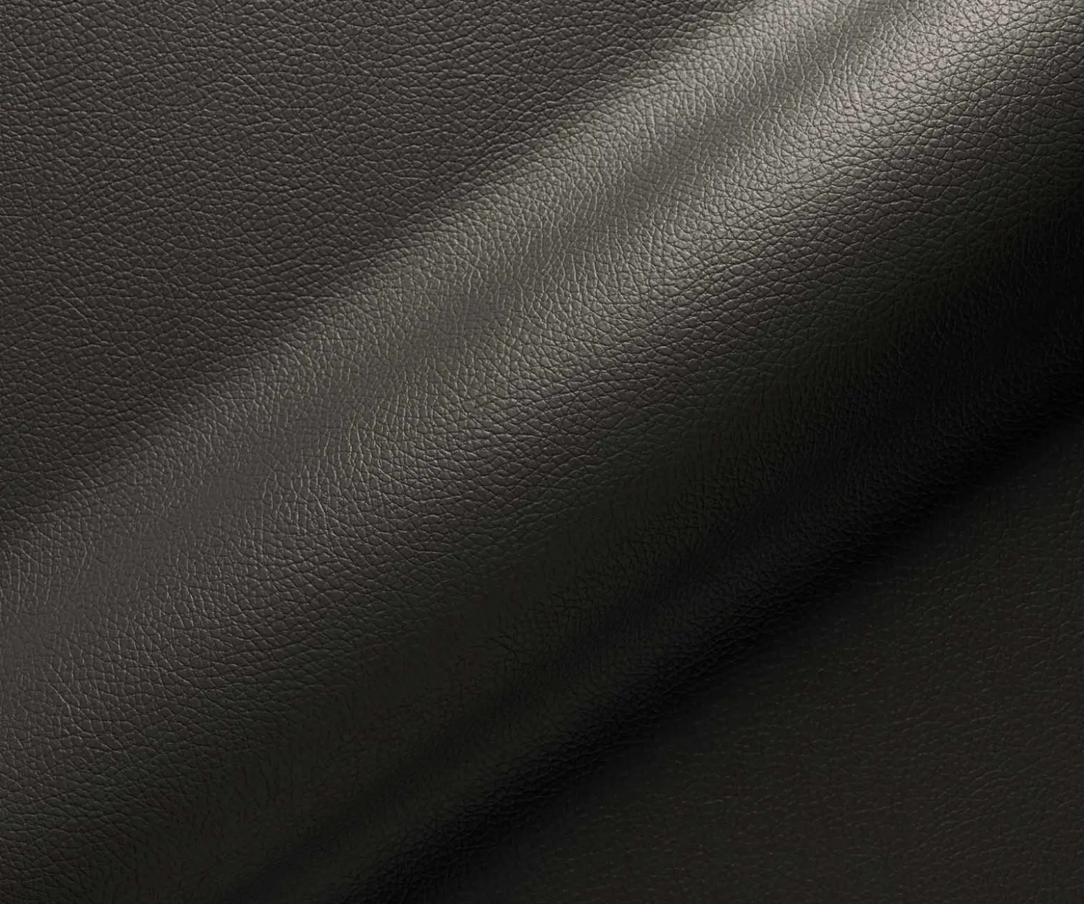 FreischwingerHeira-Flex mit Armlehnen Echt-Leder Schwarz Freischwinger flach Schwarz Taschenfederkern Sofort versandfertig