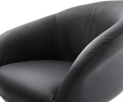FreischwingerVinka-Flex mit Armlehnen Echt-Leder Schwarz Freischwinger flach Effektfinish Titan Taschenfederkern Sofort versandfertig