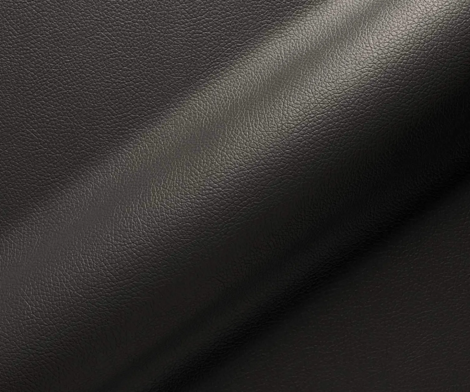 FreischwingerXana-Flex mit Armlehnen Echt-Leder Schwarz Freischwinger flach Effektfinish Titan Taschenfederkern Sofort versandfertig
